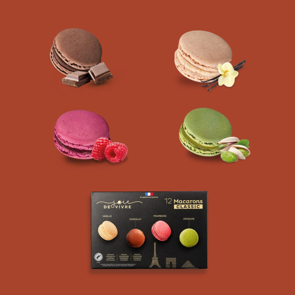 Joie de Vivre Macarons Classic: chocolate, vanilla, raspberry and pistachio flavours