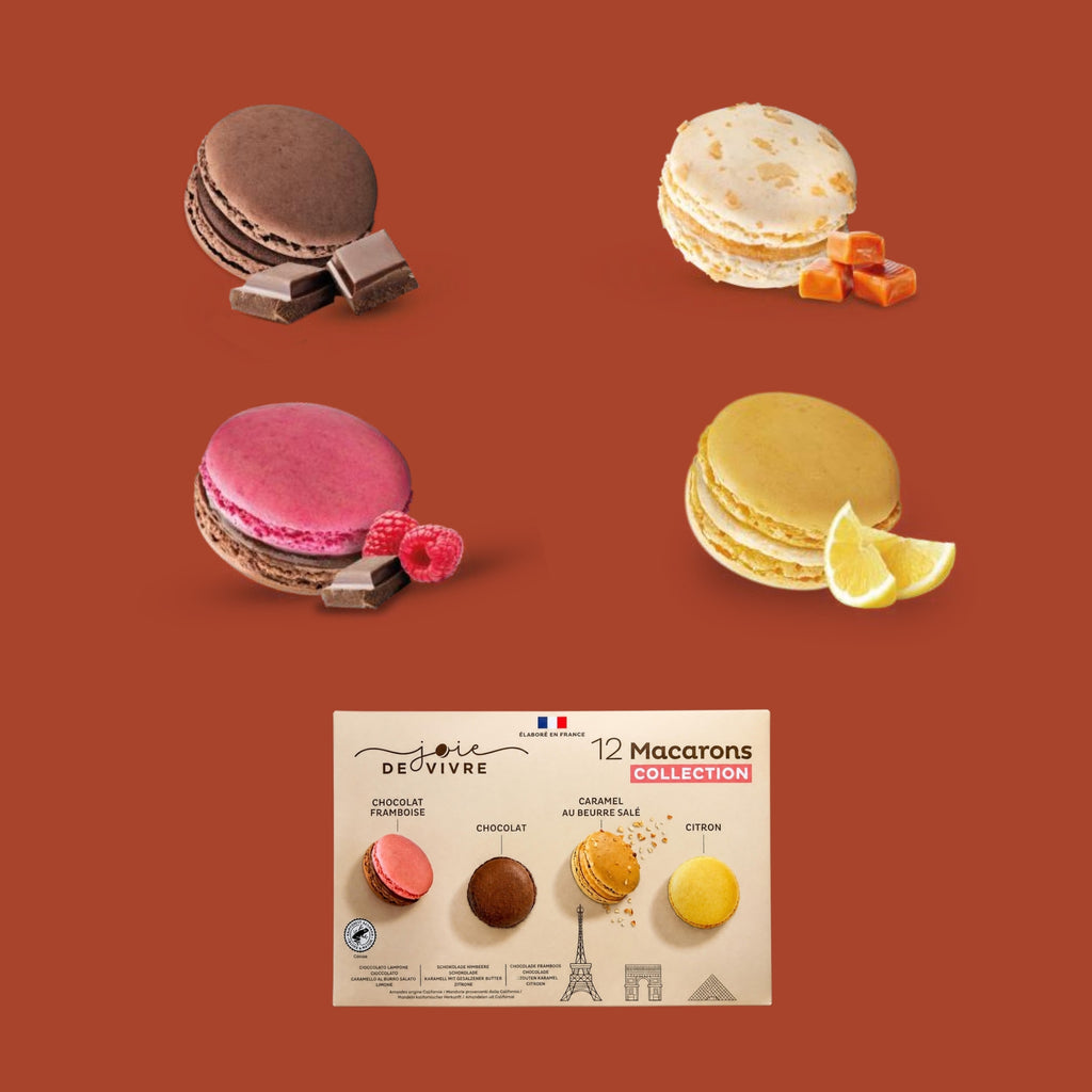 Joie de Vivre 12 Macarons Collection – chocolate raspberry, chocolate, salted caramel, lemon